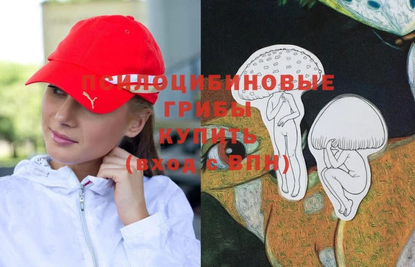 гидропоника Гусиноозёрск