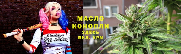 гидропоника Гусиноозёрск