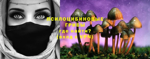 ALPHA PVP Гусь-Хрустальный