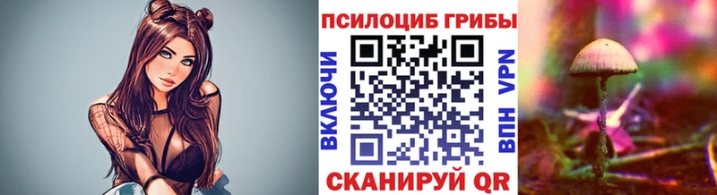 Псилоцибиновые грибы ЛСД  Купить закладки  Починок 